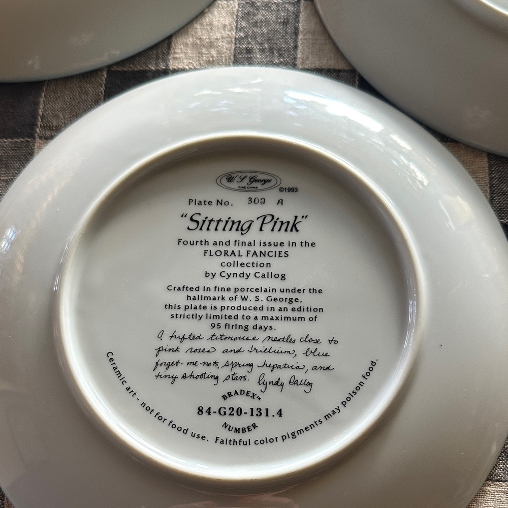 W.S George Fine China Plates by Cyndy Callog . Floral Fancies Collection - Picture 4 of 7